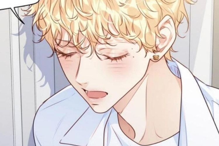 Ler Manhwa Love is an Illusion! - Superstar Capítulo 27 PT BR Scan Não Consigo Superar O Sentimento De Constrangimento