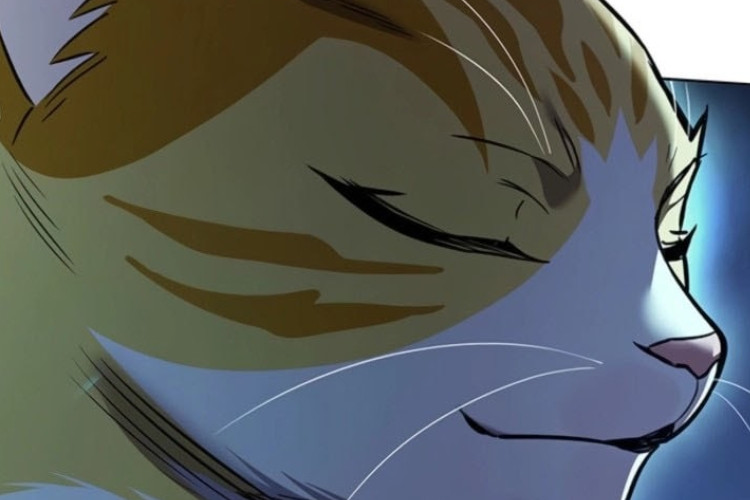 Que Incrível! Ler Manhwa Eleceed Capítulo 389 PT Scan Kayden Conseguiu Derrotar Três Pessoas Do Top 10