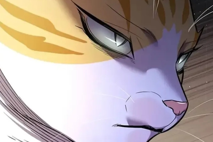 Leia Manhwa Eleceed Capítulo 378 Scan PT BR O Verdadeiro Treino É A Luta No Mundo Real