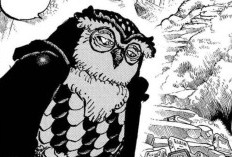 One Piece Capítulo 1184 Scan PT BR 2 Forças Divinas Alcançam O Estágio Perfeito