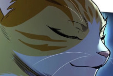 Que Incrível! Ler Manhwa Eleceed Capítulo 389 PT Scan Kayden Conseguiu Derrotar Três Pessoas Do Top 10