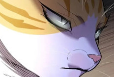 Leia Manhwa Eleceed Capítulo 378 Scan PT BR O Verdadeiro Treino É A Luta No Mundo Real