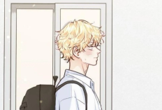 Manhwa BL Love is an Illusion! - Superstar Capítulo 33 PT BR Scan: Spoiler, Data de Lançamento & Link para Leitura